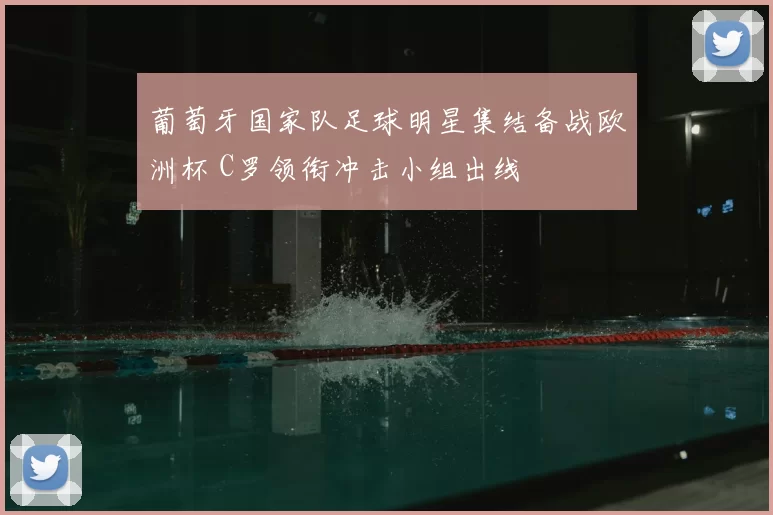 葡萄牙国家队足球明星集结备战欧洲杯 C罗领衔冲击小组出线